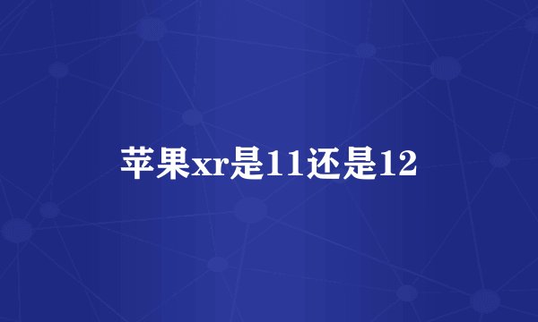 苹果xr是11还是12