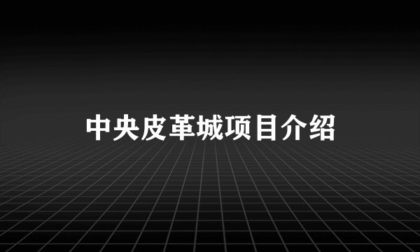 中央皮革城项目介绍