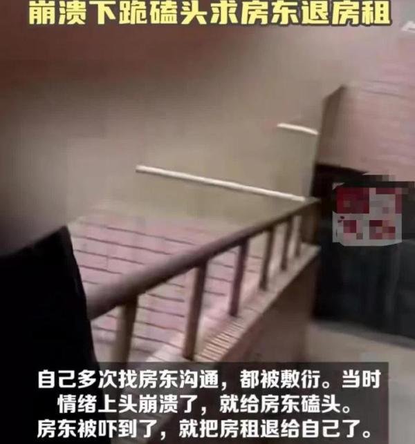 隔壁情侣晚上动静太大，考研小伙崩溃下跪磕头！
