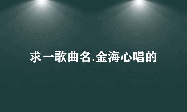 求一歌曲名.金海心唱的