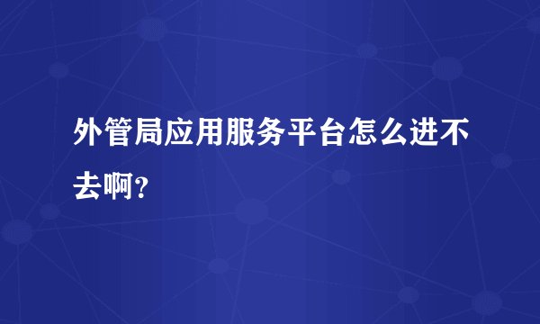 外管局应用服务平台怎么进不去啊？