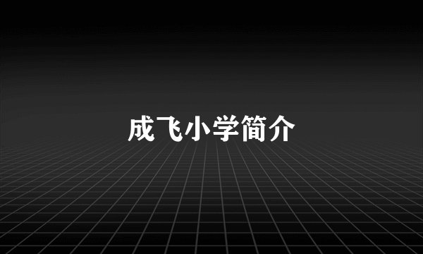 成飞小学简介