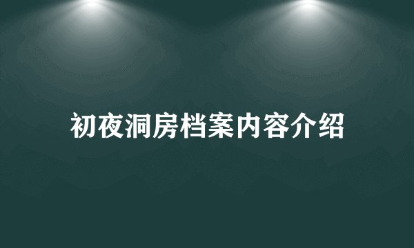 初夜洞房档案内容介绍