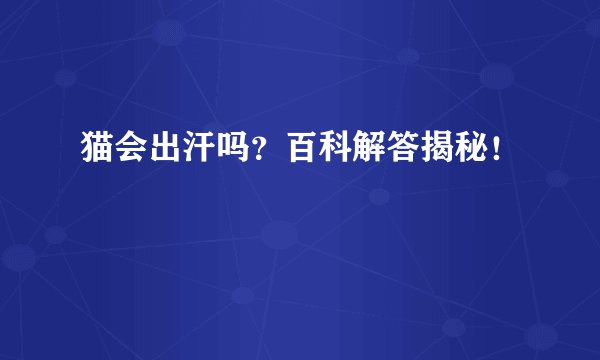 猫会出汗吗?百科解答揭秘!