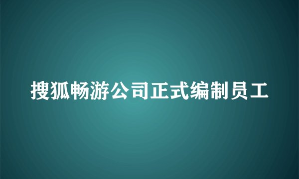 搜狐畅游公司正式编制员工