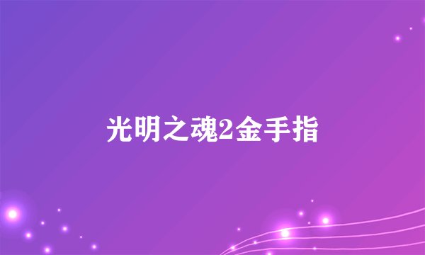 光明之魂2金手指