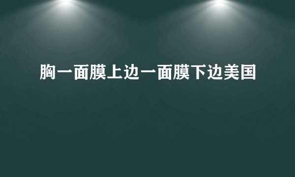 胸一面膜上边一面膜下边美国