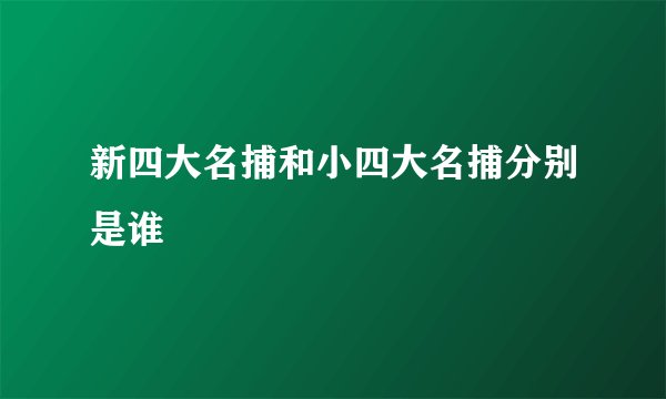 新四大名捕和小四大名捕分别是谁
