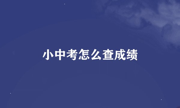 小中考怎么查成绩