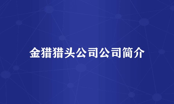 金猎猎头公司公司简介