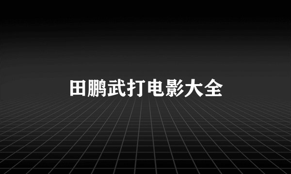 田鹏武打电影大全