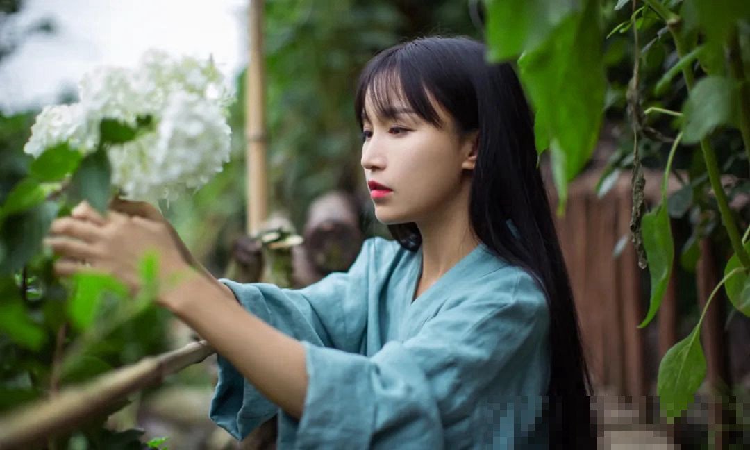 李子柒上电视了吗