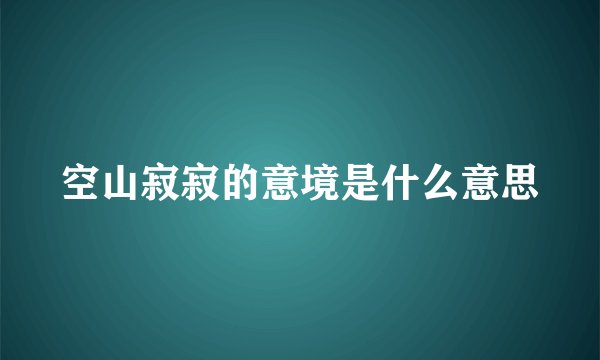 空山寂寂的意境是什么意思