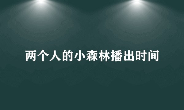 两个人的小森林播出时间