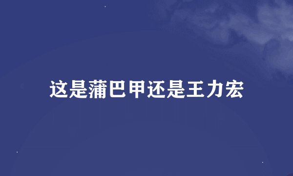 这是蒲巴甲还是王力宏