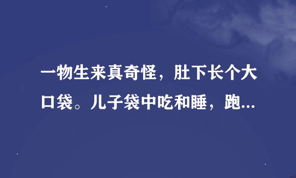 一物生来真奇怪，肚下长个大口袋。儿子袋中吃和睡，跑得不快跳得快