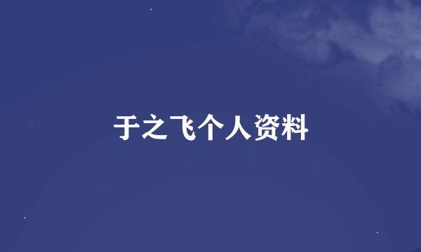 于之飞个人资料