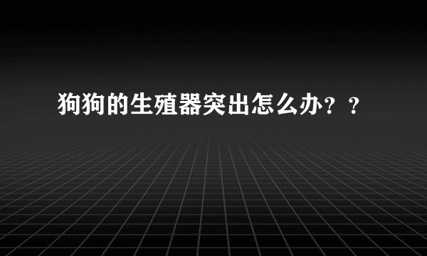 狗狗的生殖器突出怎么办？？
