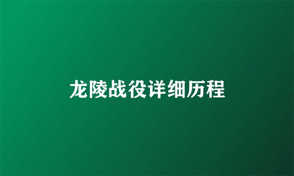 龙陵战役详细历程