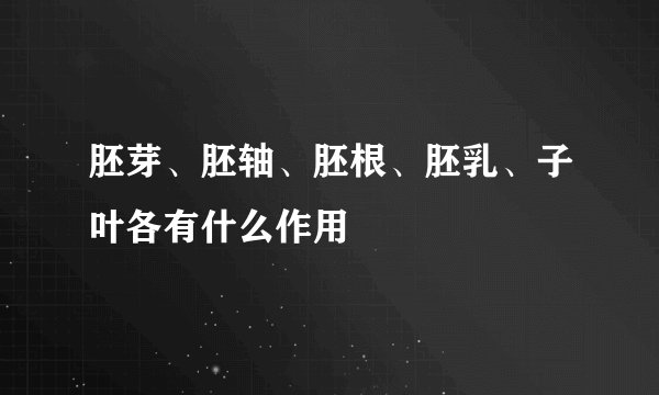 胚芽、胚轴、胚根、胚乳、子叶各有什么作用