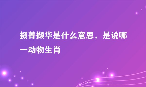 掇菁撷华是什么意思，是说哪一动物生肖