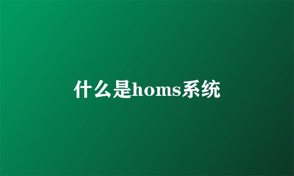 什么是homs系统