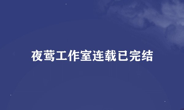 夜莺工作室连载已完结