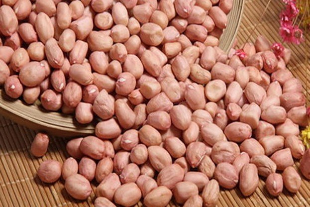 木兰之子，打一食物名称