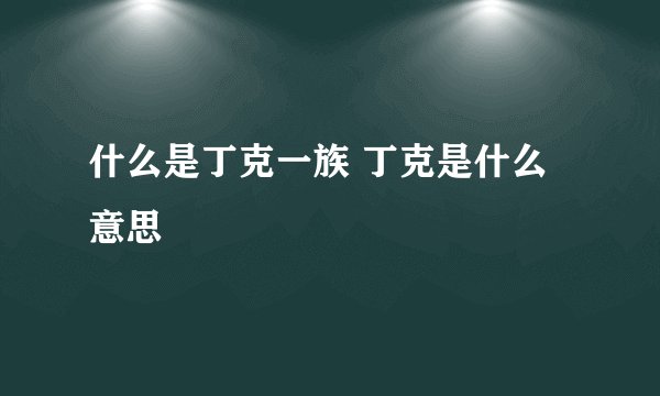 什么是丁克一族 丁克是什么意思