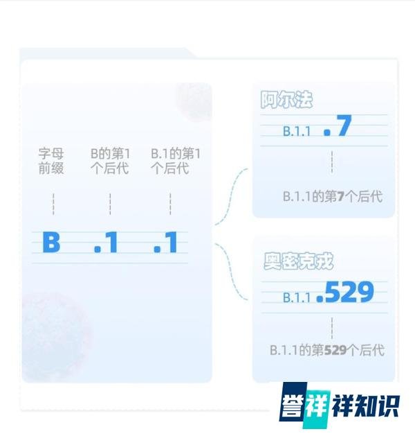 好懵啊！中疾控最新通报中那些新冠病毒变异毒株编号到底是什么
