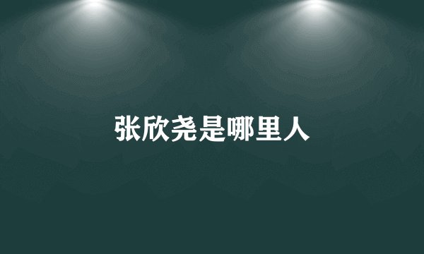 张欣尧是哪里人