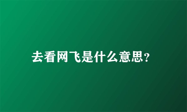 去看网飞是什么意思？