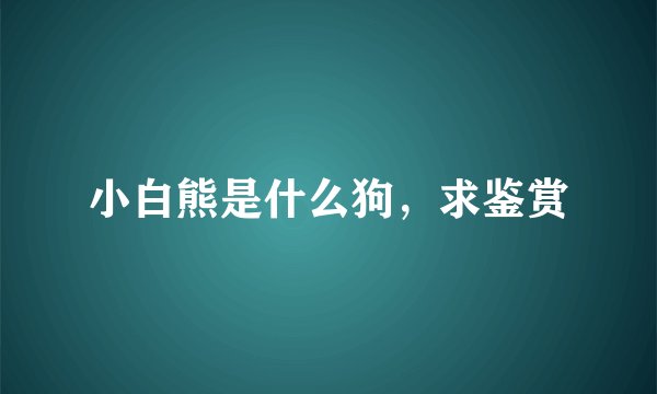 小白熊是什么狗，求鉴赏