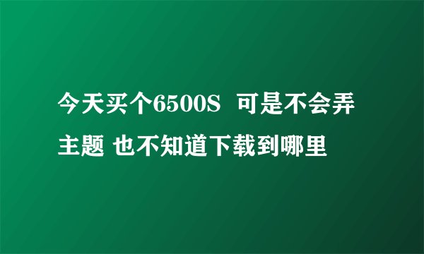 今天买个6500S  可是不会弄主题 也不知道下载到哪里