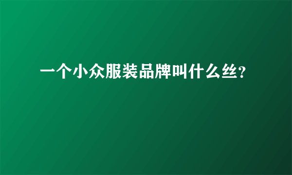 一个小众服装品牌叫什么丝？