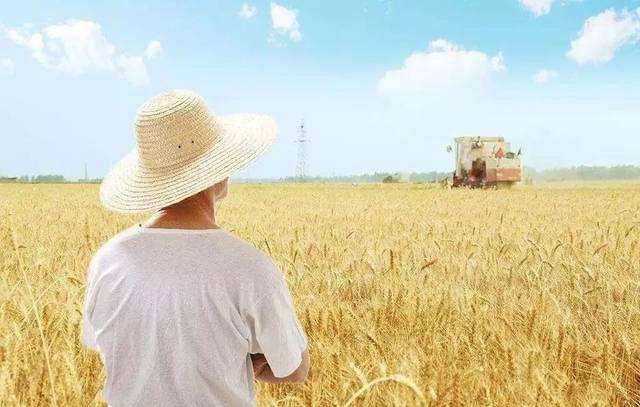 《夏感》的主旨是什么