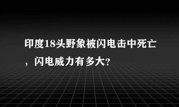 印度18头野象被闪电击中死亡，闪电威力有多大？