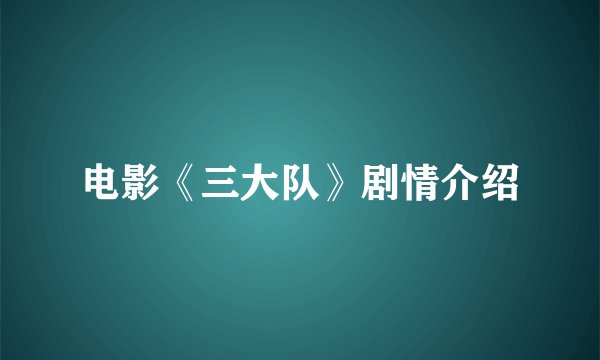 电影《三大队》剧情介绍
