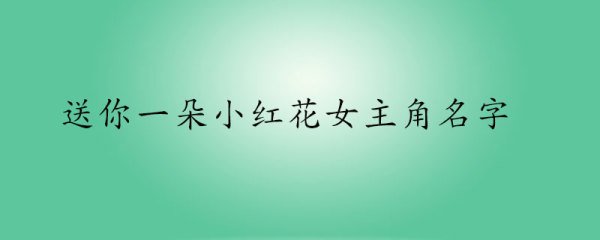 送你一朵小红花女主角名字