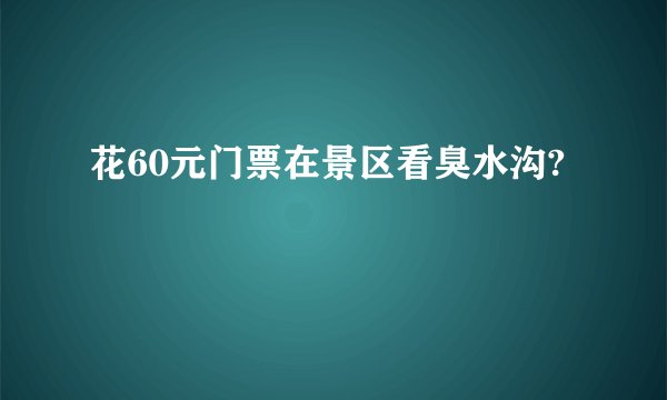 花60元门票在景区看臭水沟?
