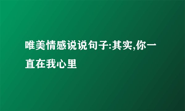 唯美情感说说句子:其实,你一直在我心里