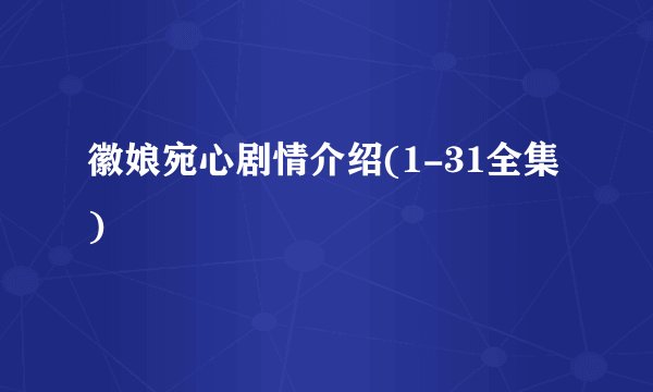 徽娘宛心剧情介绍(1-31全集)