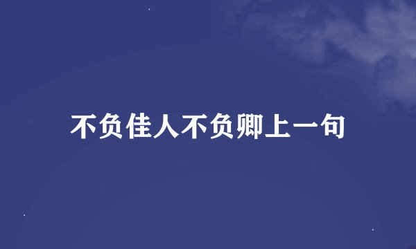 不负佳人不负卿上一句