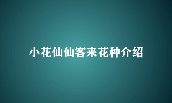 小花仙仙客来花种介绍