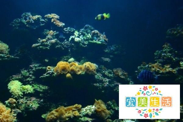 北海旅游攻略