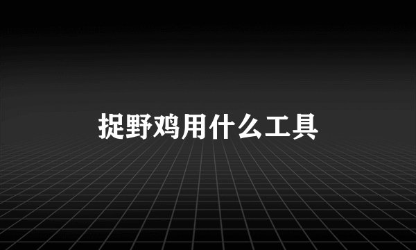 捉野鸡用什么工具