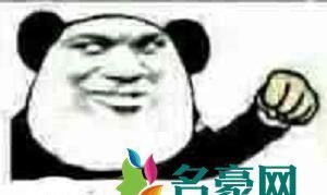 假猪套天下第一是什么梗什么意思 假猪套天下第一出处在哪