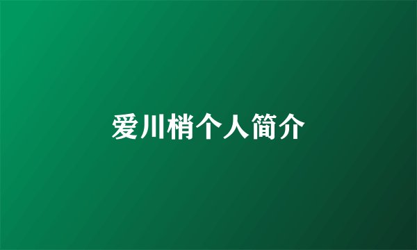 爱川梢个人简介