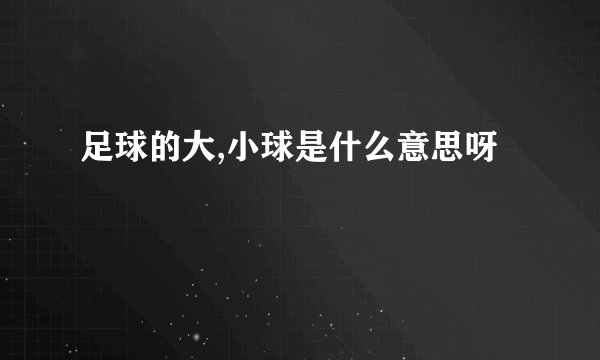 足球的大,小球是什么意思呀