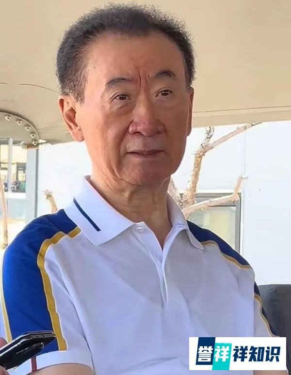 林宁出手救不了王健林!?